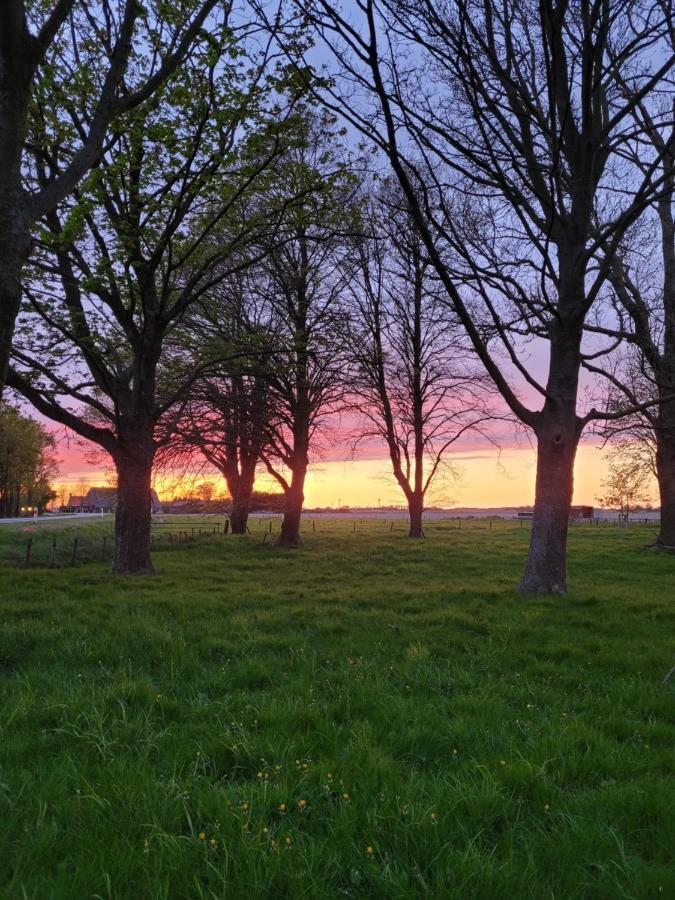 Vakantiehuis Aan Het Bos - Gelegen Aan De Tulpenroute Bant Extérieur photo