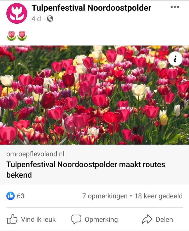 Vakantiehuis Aan Het Bos - Gelegen Aan De Tulpenroute Bant Extérieur photo